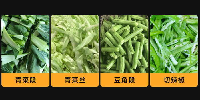 商用多功能切菜機(jī) 商用多功能切菜機(jī)